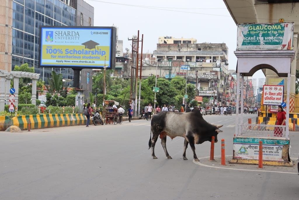 SAB Mall Sector 18/27 Red Light